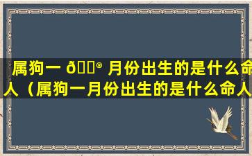 属狗一 💮 月份出生的是什么命人（属狗一月份出生的是什么命人啊）